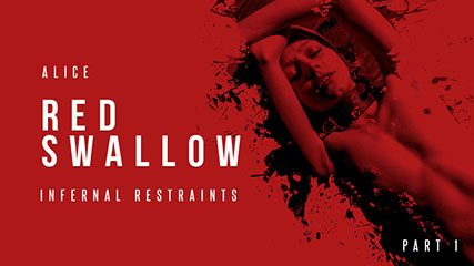 red-swallow-part-1-this-taboo-nightmare-begins-with-a-simple-slip